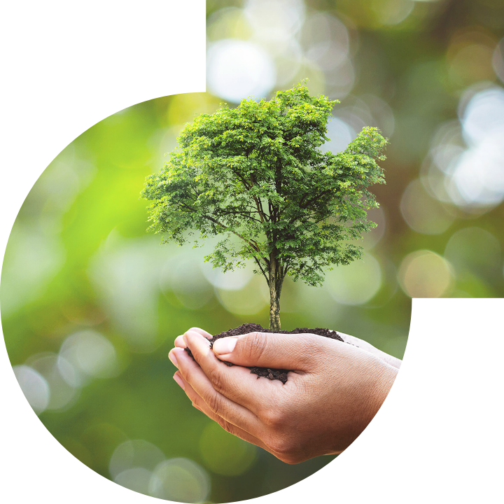 關懷人類、文化、環境與社會